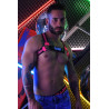 Breedwell Strap lumineux pour Harnais DADDY Breedwell